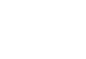 BMI Logo